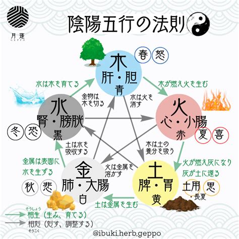 美國五行屬性|【國家 五行】細數各國五行屬性！看移民去哪旺你整個人生？